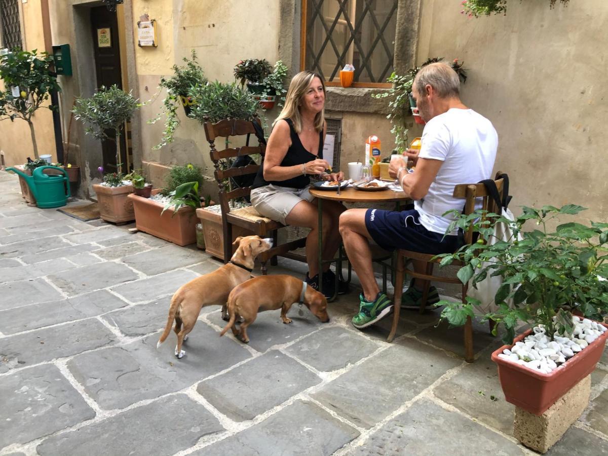 Casa Dreosti * Cortona